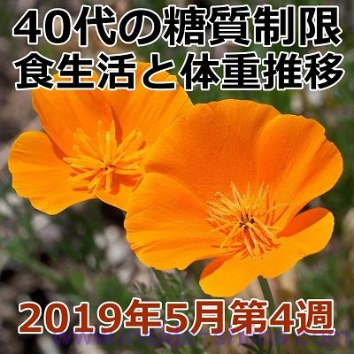 40代の糖質制限2019年5月第4週