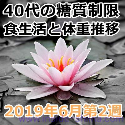 40代の糖質制限2019年6月第2週