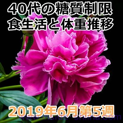 40代の糖質制限2019年6月第5週