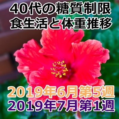 40代の糖質制限2019年7月第1週