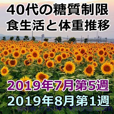 40代の糖質制限2019年8月第1週