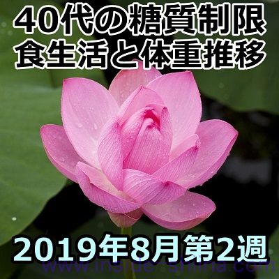 40代の糖質制限2019年8月第2週