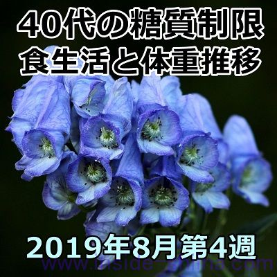 40代の糖質制限2019年8月第4週