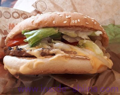 ワッパーの見た目