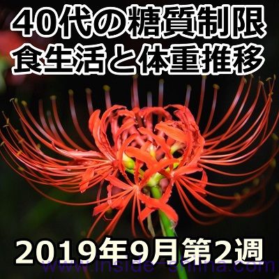 40代の糖質制限2019年9月第2週
