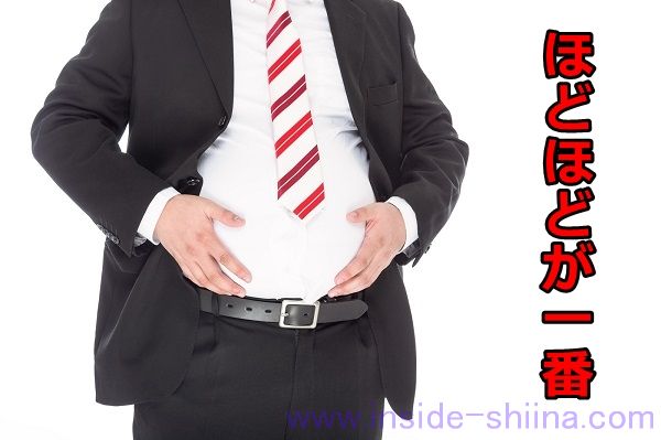 果物 果糖 老化 肥満