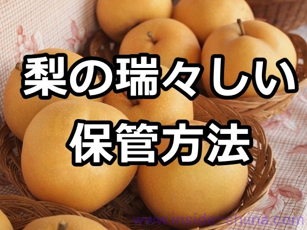 梨 保存方法 常温