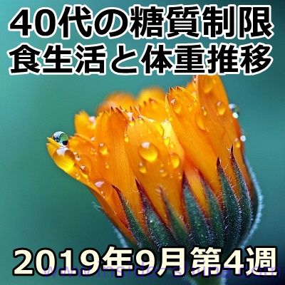 40代の糖質制限2019年9月第4週