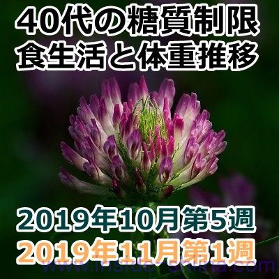 40代の糖質制限2019年11月第1週