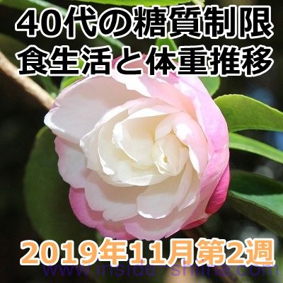 40代の糖質制限2019年11月第2週