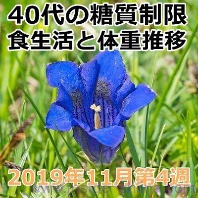 40代の糖質制限2019年11月第4週