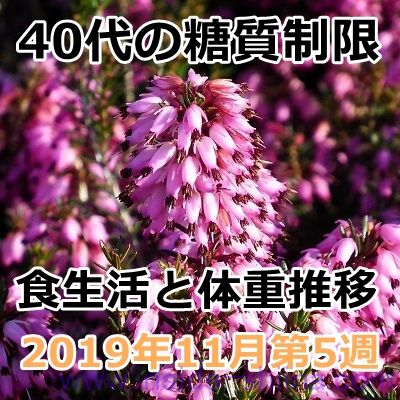 40代の糖質制限2019年11月第5週