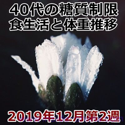 40代の糖質制限2019年12月第2週