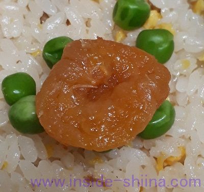 崎陽軒 シウマイ炒飯弁当炒飯 あんず