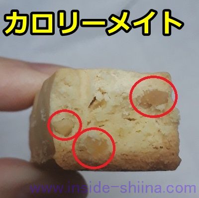 カロリーメイト プレーン 断面