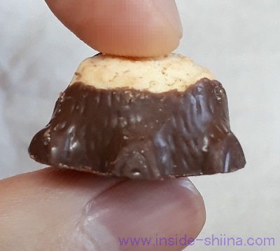 きこりの切株 樹皮