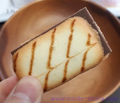 ブランチュールの大きさ(サイズ)は!
