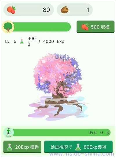 楽天リワードのテクプラームのいまいちなところ