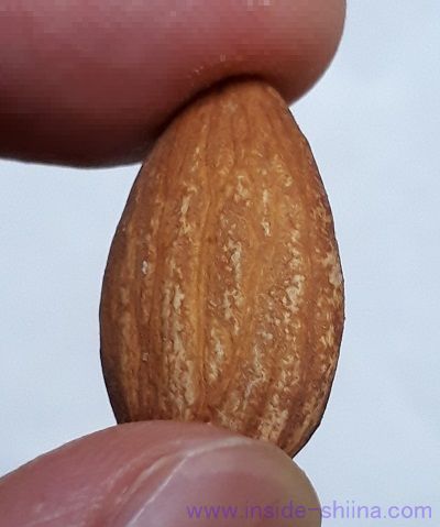 ミックスナッツ（無塩）のアーモンド！