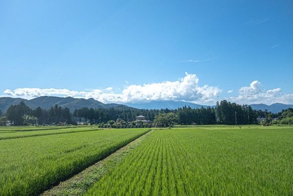 【40代の糖質制限】食事メニューと体重推移【2024年5月第4週】