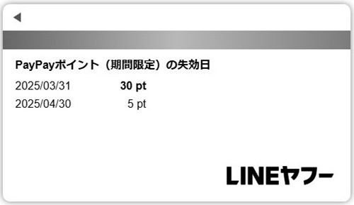 使い道がない？PayPayポイント（期間限定）の使い方！ポイント運用には使えない！