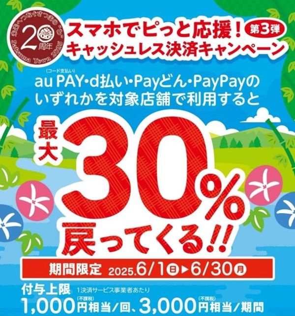2025/6/30まで！さつま町でau PAY、d払い、Payどん、PayPayが最大30%還元キャンペーン！