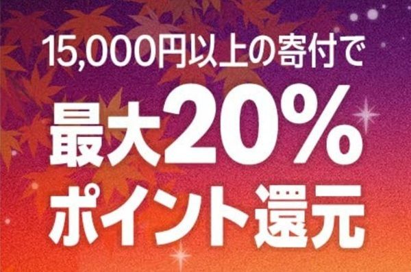 2025/9/30まで!Amazonのふるさと納税で最大20%ポイント還元キャンペーン!
