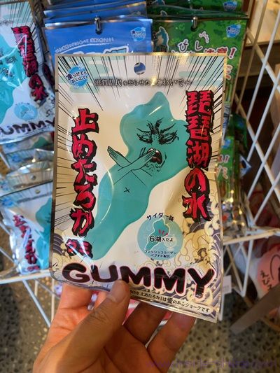琵琶湖の水とめたろか
