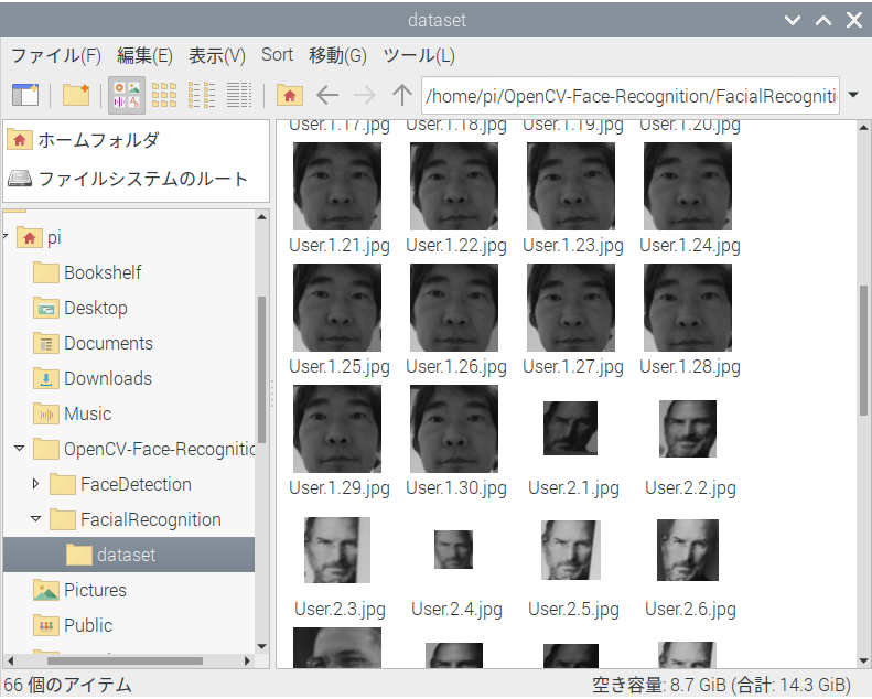 f:id:IntellectualCuriosity:20200904170301p:plain