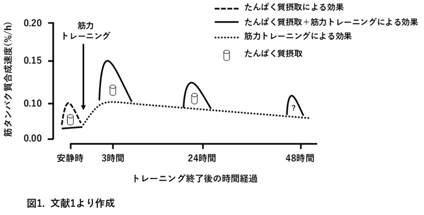 f:id:Inter412:20191212130839p:plain f:id:Inter412:20191212130839p:plain
