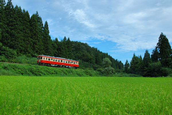 f:id:Intermezzo:20050904234821j:image