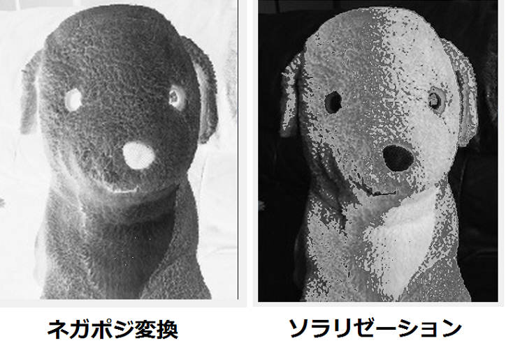 画像処理 2 いぬおさんのおもしろ数学実験室