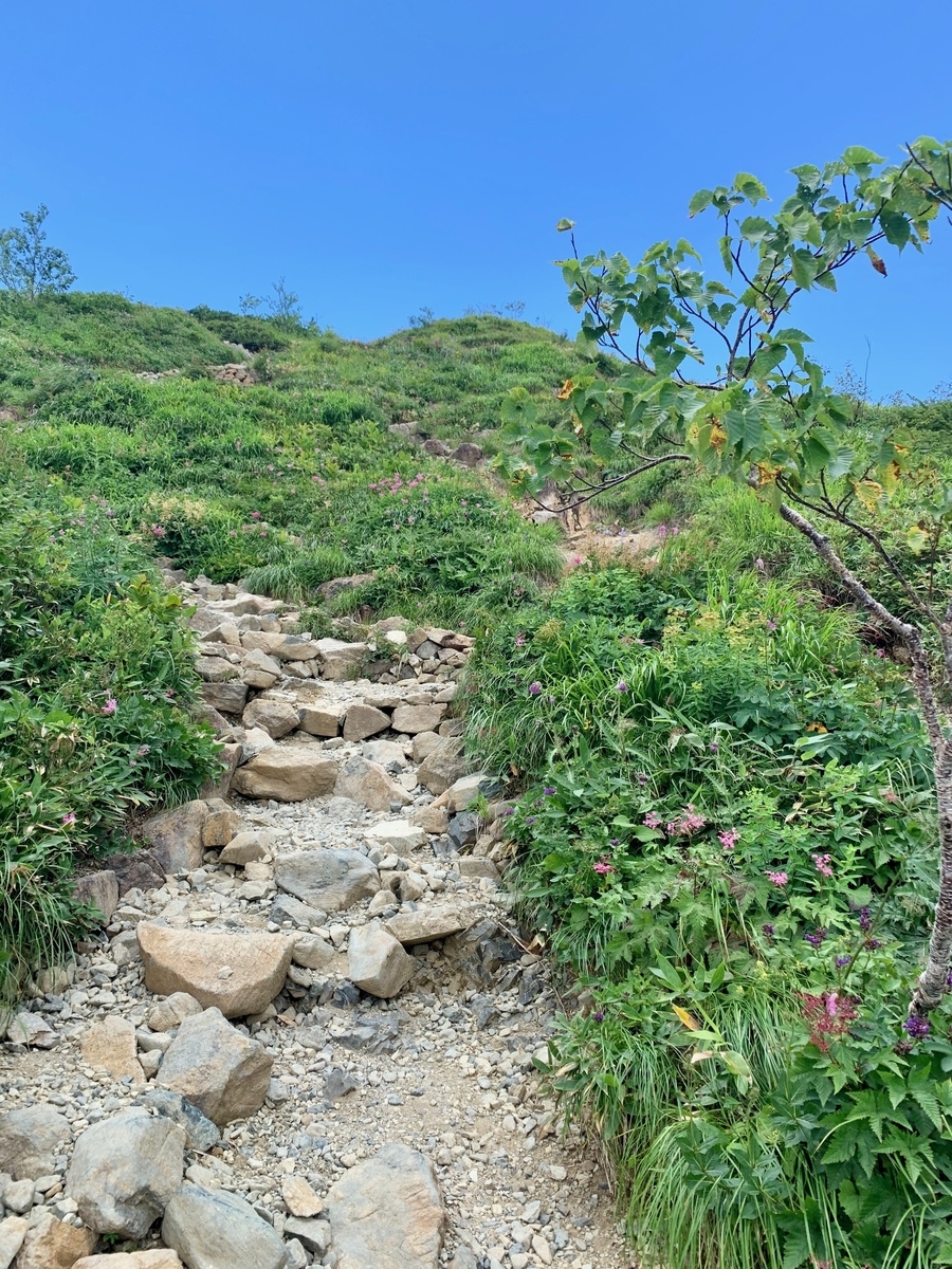 夏の唐松岳登山 1泊2日 白馬八方尾根ピストン 山あるきへの招待状 山に魅せられたインドア女子の成長記録