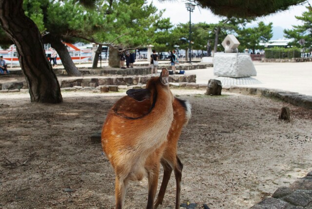 f:id:Ioannes:20160720073005j:plain