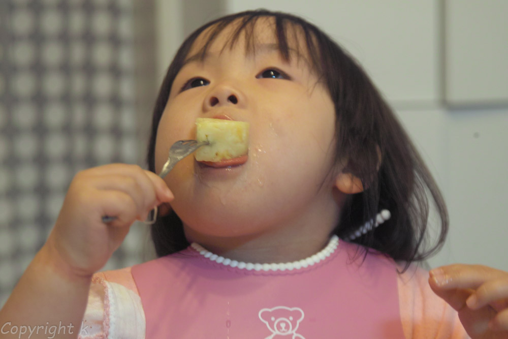 f:id:Ioannes:20170104204757j:plain