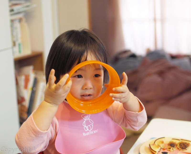 f:id:Ioannes:20170113085332j:plain