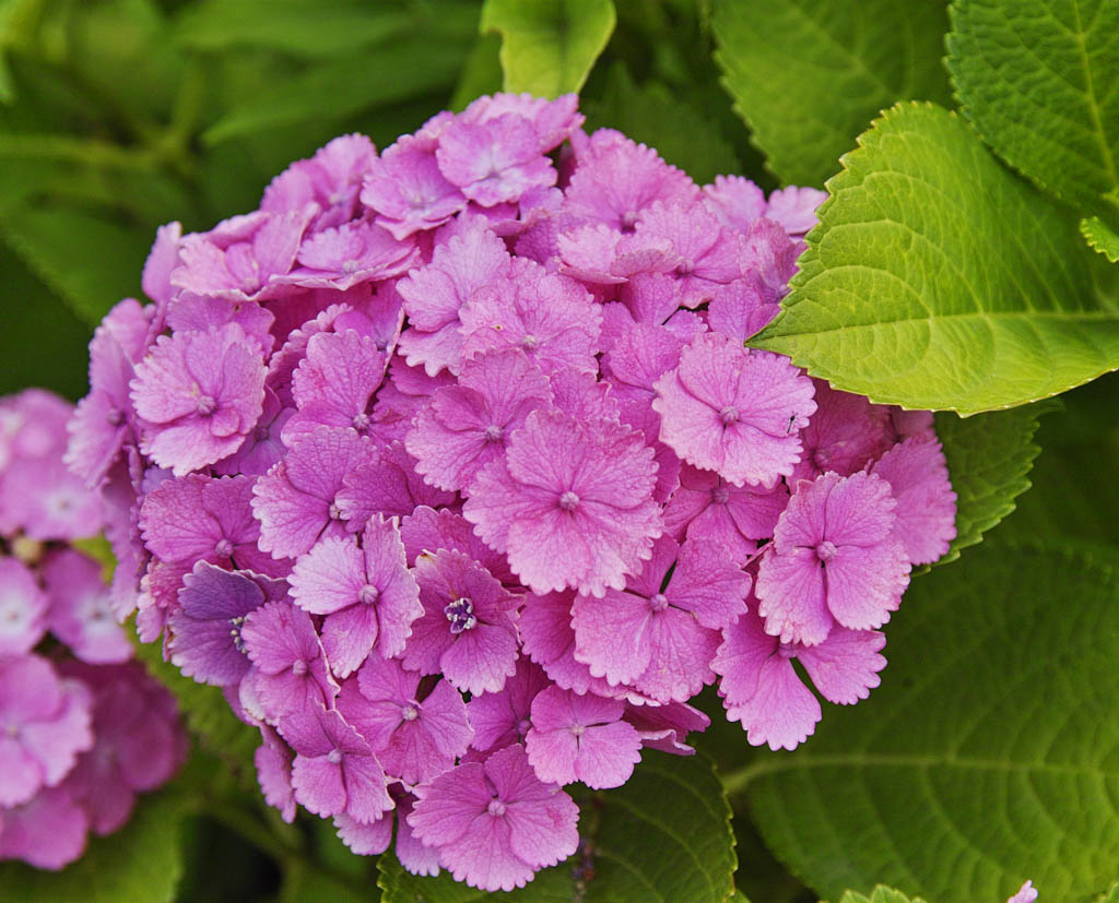 f:id:Ioannes:20170613175338j:plain f:id:Ioannes:20170613175338j:plain