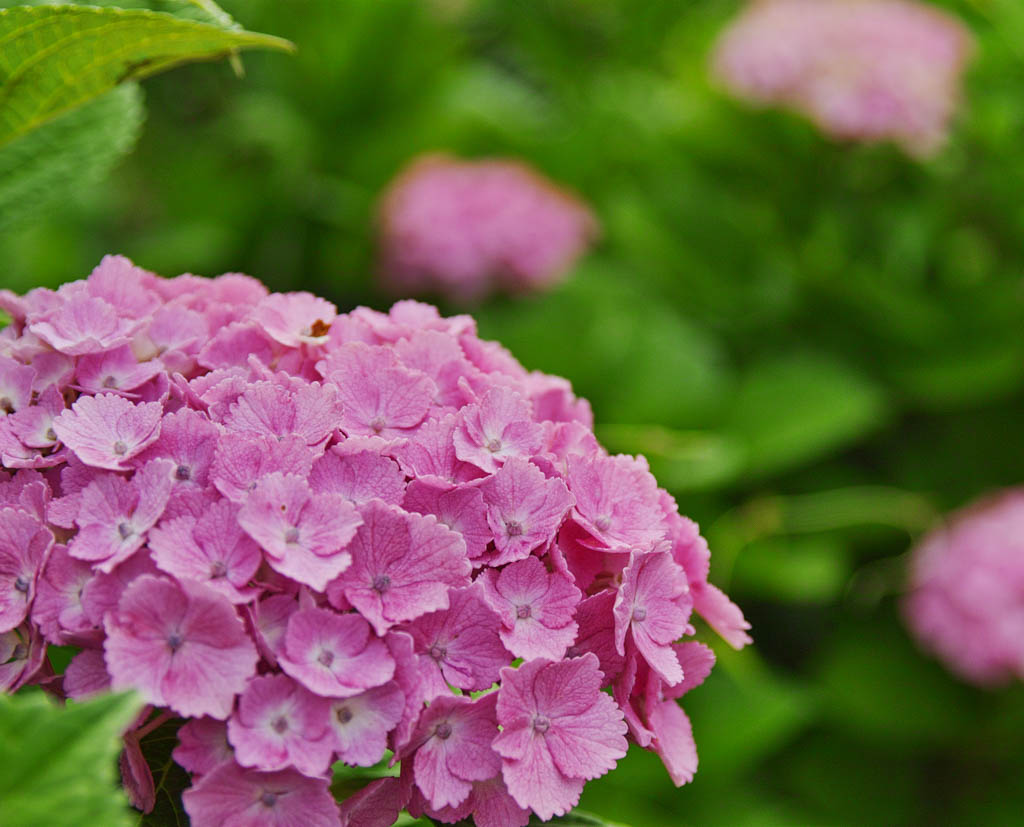 f:id:Ioannes:20170613175446j:plain f:id:Ioannes:20170613175446j:plain