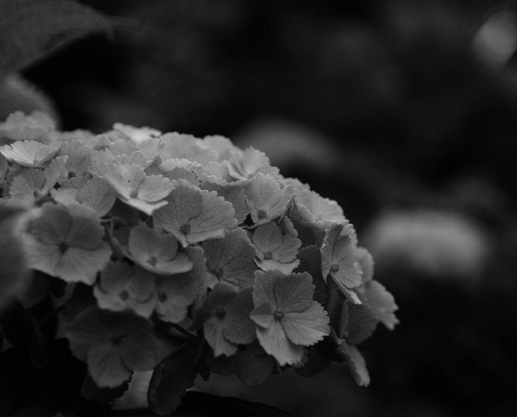 f:id:Ioannes:20170613175507j:plain f:id:Ioannes:20170613175507j:plain