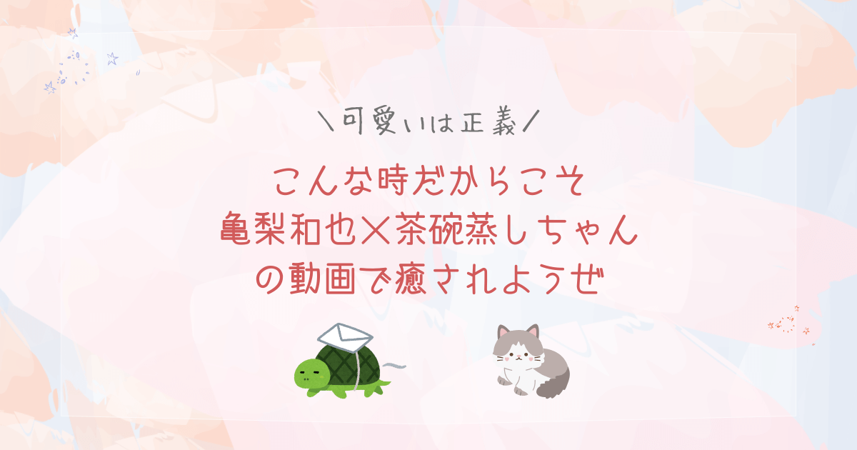 こんな時だからこそ亀梨和也×茶碗蒸しちゃんの動画で癒されようぜ