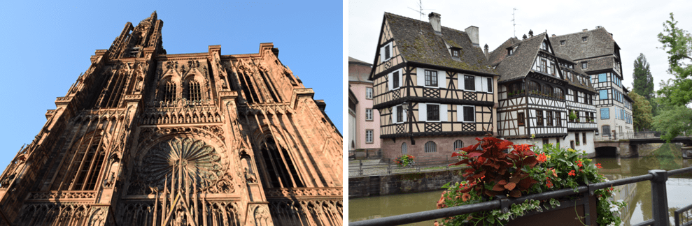 f:id:Ippo-san:20190421112119p:plain f:id:Ippo-san:20190421112119p:plain