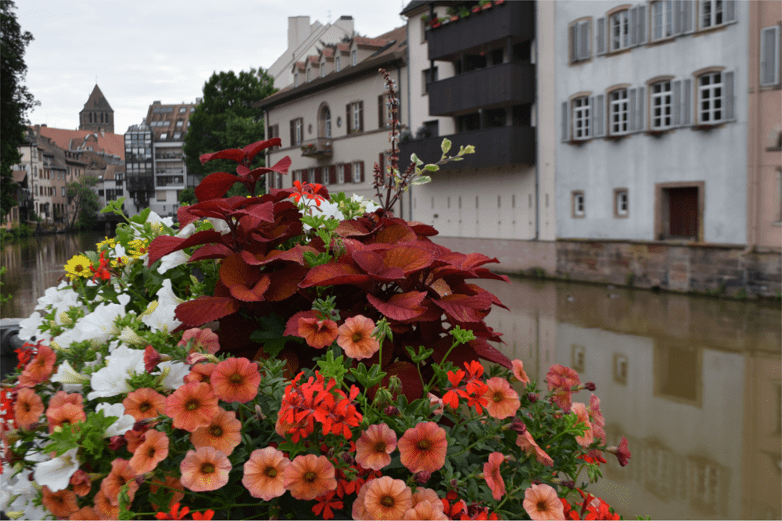 f:id:Ippo-san:20190421113124p:plain