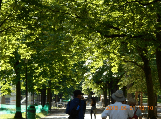 f:id:Ippo-san:20190421212338p:plain