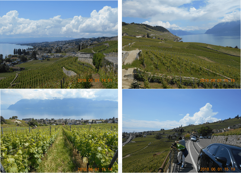 f:id:Ippo-san:20190421213827p:plain