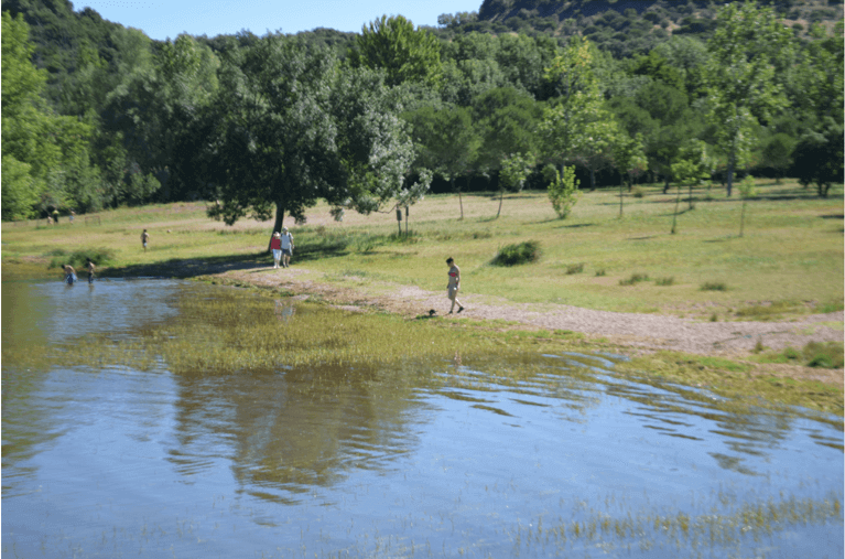 f:id:Ippo-san:20190707225328p:plain