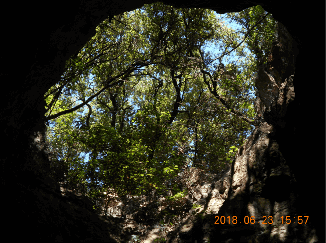 f:id:Ippo-san:20190707230704p:plain