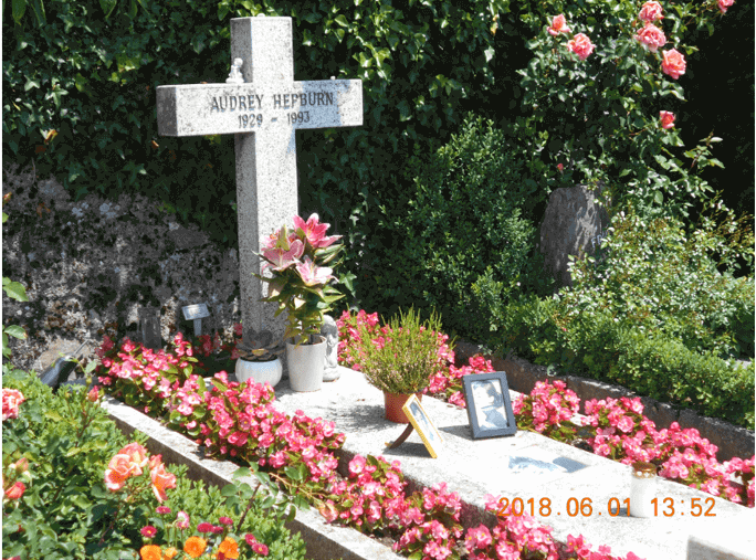 f:id:Ippo-san:20200320171741p:plain