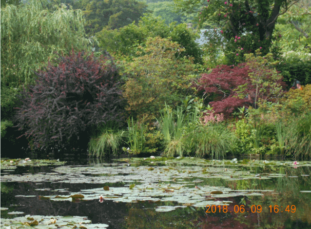 日帰りルーアン大聖堂 ジヴェルニー モネの庭 観光の行き方など Ippo San S Diary