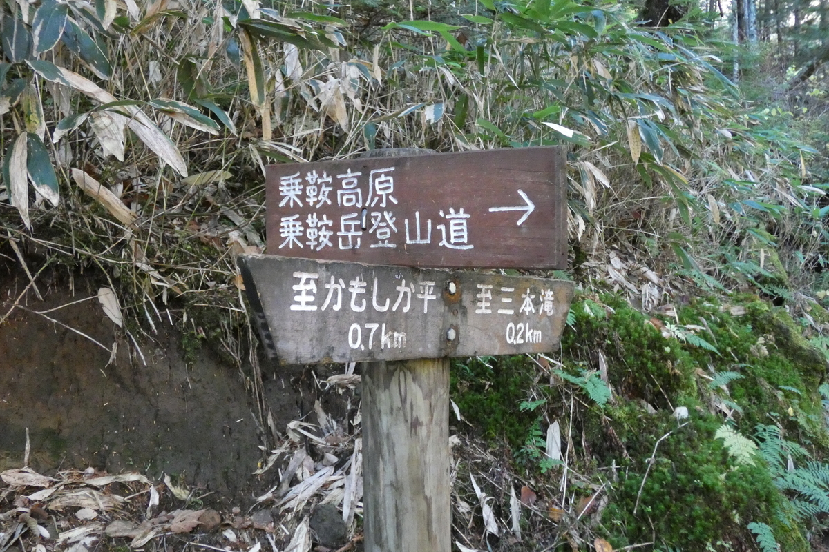 f:id:Ippo_ippo:20201104223202j:plain