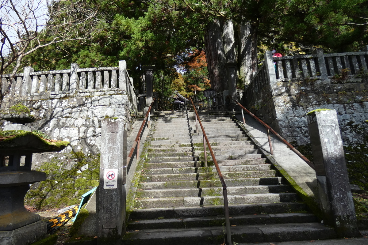 f:id:Ippo_ippo:20201117220552j:plain